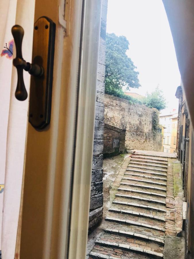 La Casina Del Centro Lejlighed Perugia Eksteriør billede